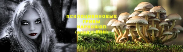 индика Армянск