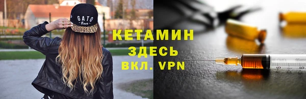 стаф Арсеньев