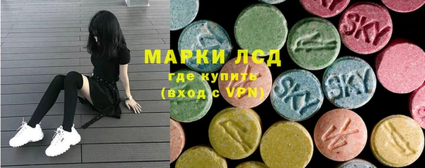 стаф Арсеньев