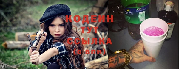 стаф Арсеньев