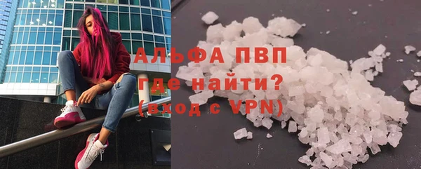 стаф Арсеньев