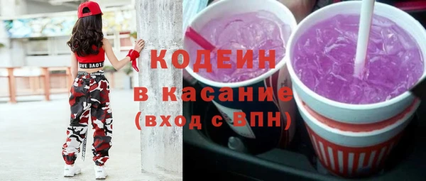 индика Армянск